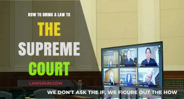 Navigating the Legal Path: How to Bring a Case to the Supreme Court