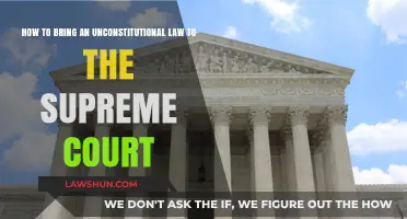 Challenging Unconstitutional Laws: A Guide to Supreme Court Appeals