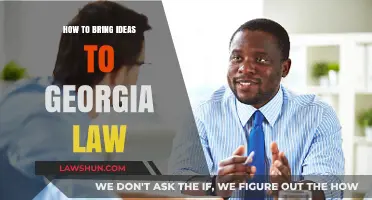 Transforming Ideas into Georgia Law: A Step-by-Step Advocacy Guide
