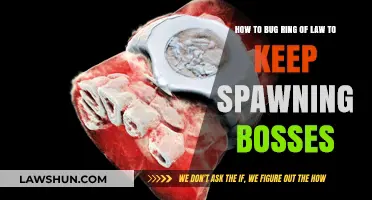 Exploiting the Ring of Law: Endless Boss Spawns in Gaming