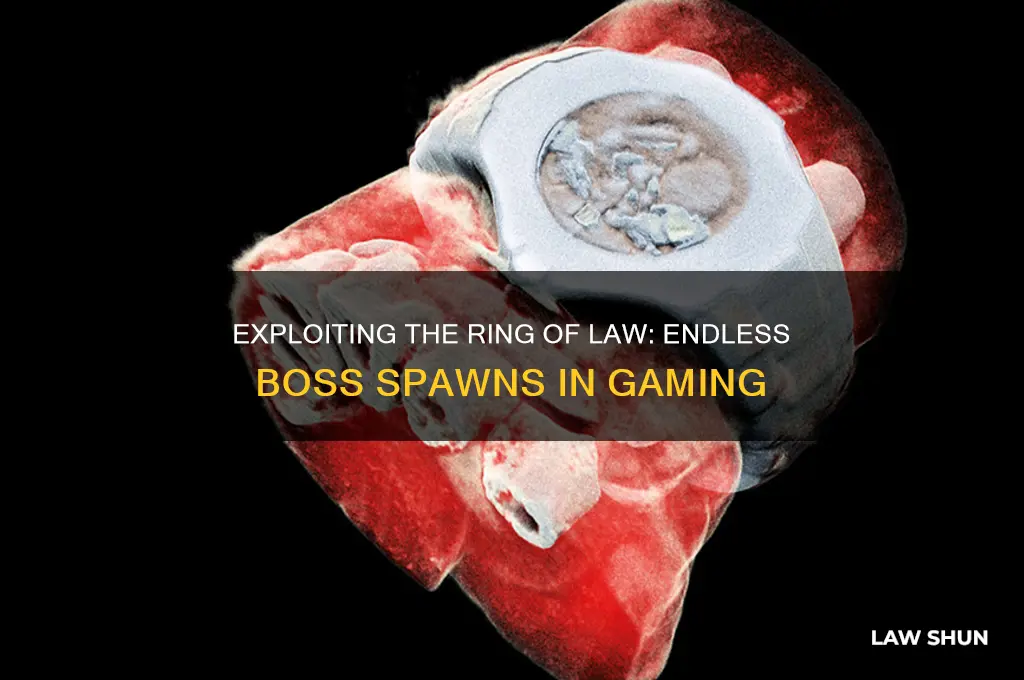 how to bug ring of law to keep spawning bosses