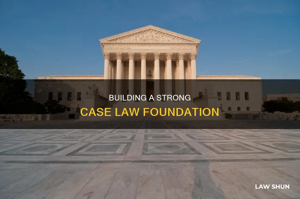 how to buid the case law