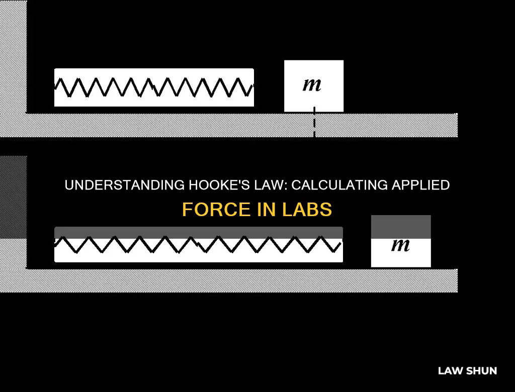 how to calculate applied force hookes law lab