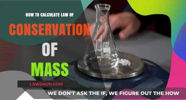 Mastering Mass Conservation: A Step-by-Step Calculation Guide