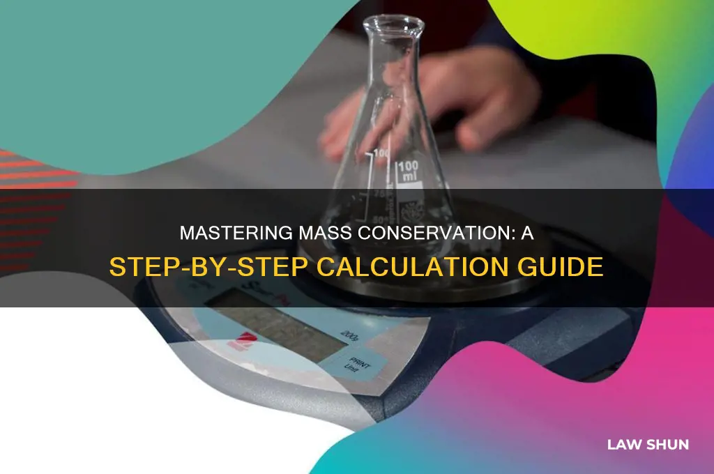 how to calculate law of conservation of mass