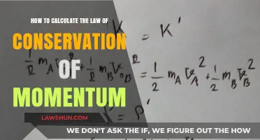 Mastering Momentum: Calculating the Law of Conservation Simplified