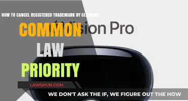 Asserting Common Law Priority: Canceling a Registered Trademark