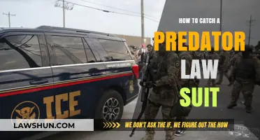 Legal Strategies to Catch a Predator: Protecting Victims and Pursuing Justice
