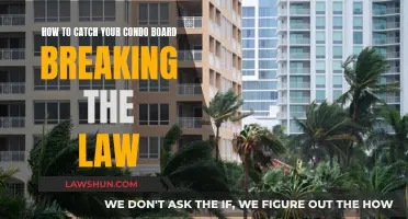 Catching Condo Board Lawbreakers: Your Rights, Their Wrongs