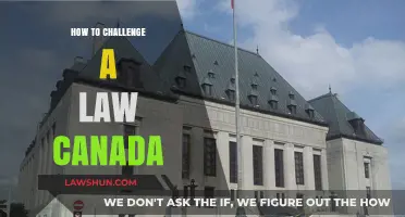 Challenging Canadian Laws: Your Right to Question