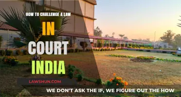 Challenging Laws in India: Your Guide to Court
