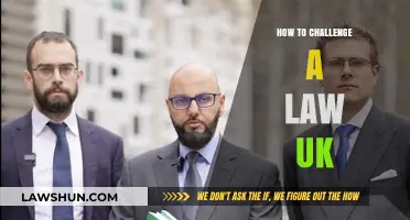 Challenging UK Laws: Your Rights and How-to Guide