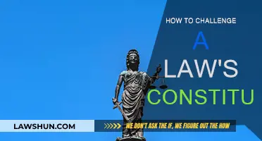 Challenging a Law: Your Constitutional Rights