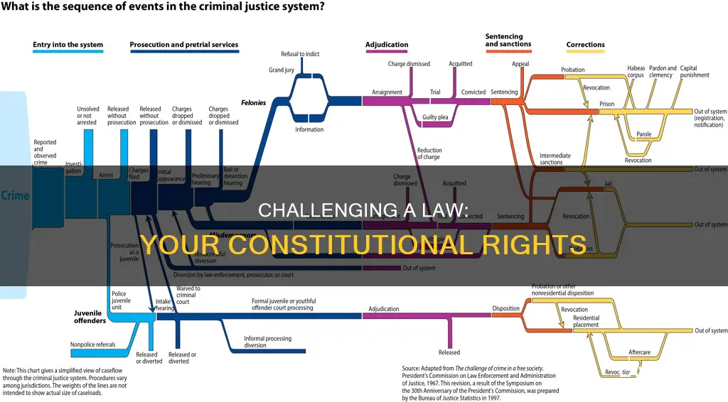 how to challenge a law