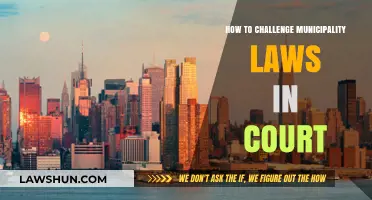 Challenging Municipality Laws: A Step-by-Step Guide to Court Appeals
