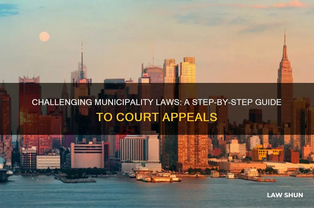 how to challenge municipality laws in court