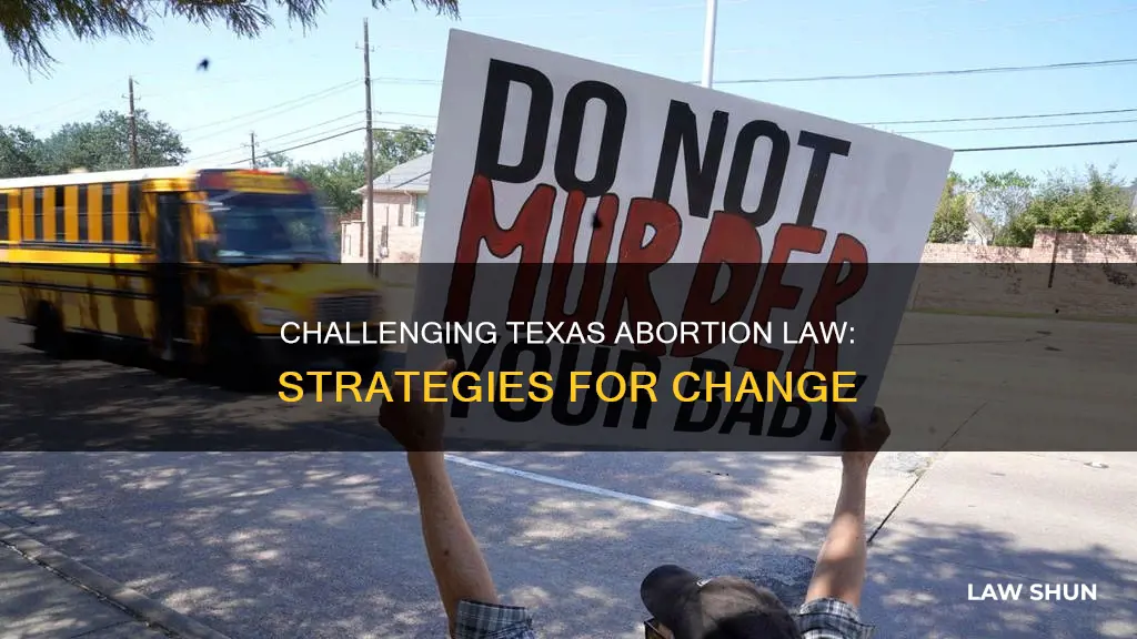 how to challenge texas abortion law