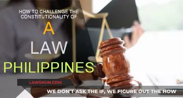 Challenging a Law: Philippines Constitutionality Guide
