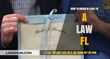 Is Your Bill a Law in Florida? Quick Verification Steps