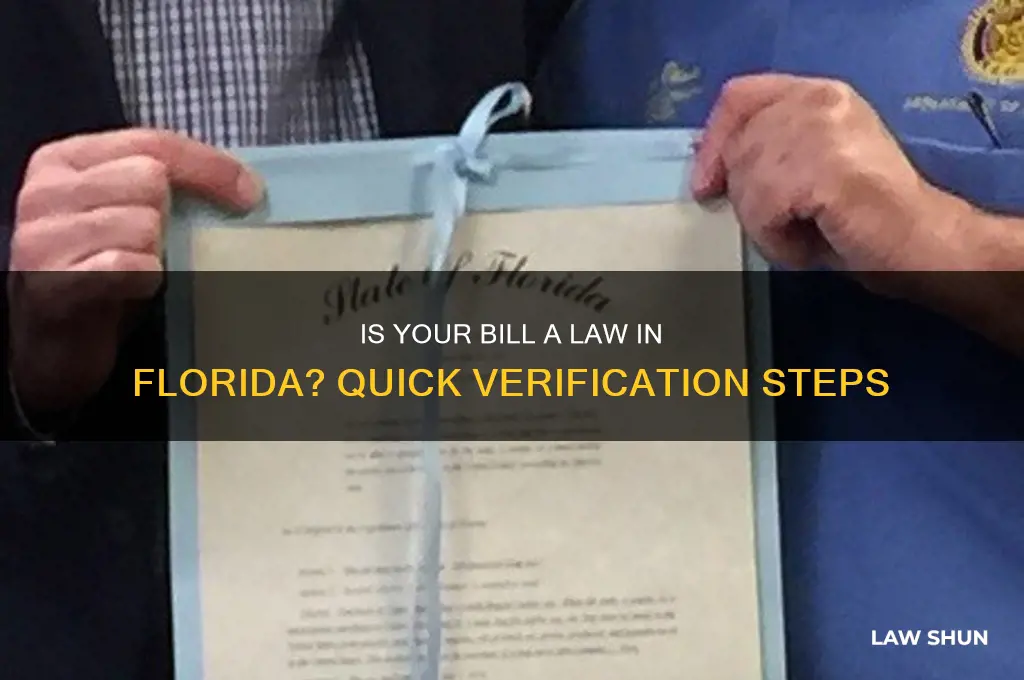 how to check if a bill is a law fl