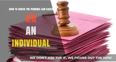 Pending Law Cases: How to Check on Individuals?