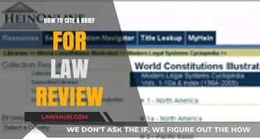 Mastering Law Review Citations: A Guide to Citing Legal Briefs