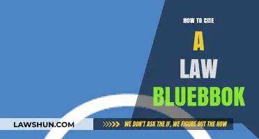 Mastering Legal Citations: A Comprehensive Guide to Using the Bluebook