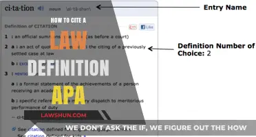 Mastering APA Citations: Citing Law Definitions Accurately and Effectively