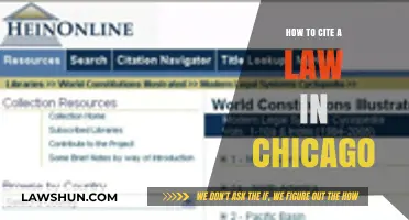 Mastering Chicago Style: A Guide to Citing Legal Sources