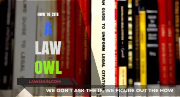 Mastering Legal Citations: How to Properly Cite a Law OWL