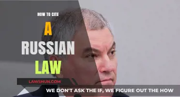 Mastering Russian Legal Citations: A Comprehensive Guide for Researchers