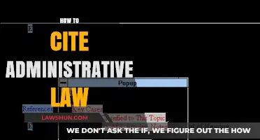 Mastering Administrative Law Citations: A Comprehensive Guide for Legal Writers