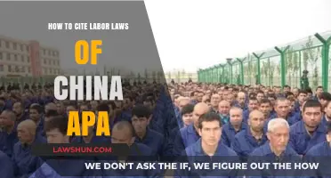 Citing China's Labor Laws in APA Style: A Comprehensive Guide