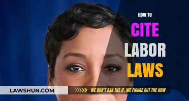 Mastering Legal Citations: A Guide to Citing Labor Laws Effectively