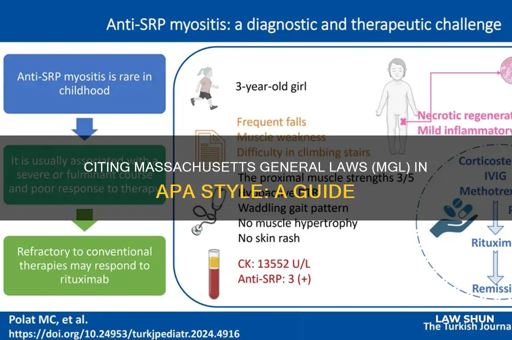 how to cite laws from mgl in apa