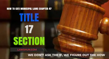 Citing Municipal Laws: Mastering Chapter 47, Title 17, Section