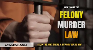 Mastering Legal Citations: How to Cite the Felony Murder Law