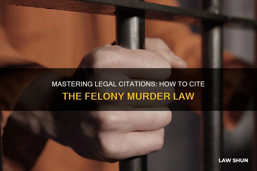 how to cite the felony murder law