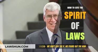 Mastering Citations: How to Properly Cite The Spirit of Laws