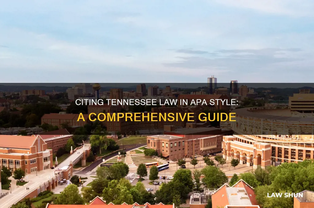 how to cite tn law in apa