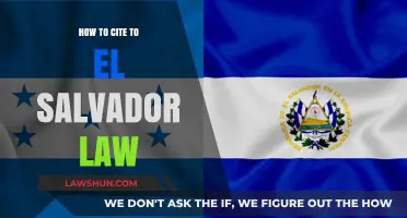 Citing El Salvador Law: A Comprehensive Guide for Legal References