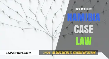 Citing Namibian Case Law: A Quick Guide