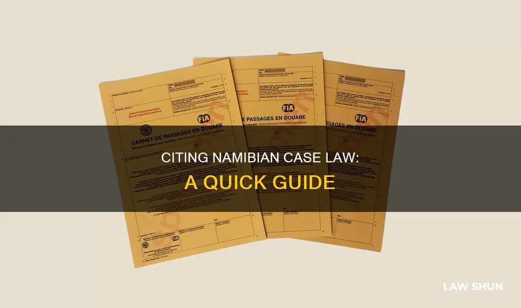 how to cite to namibia case law