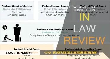 Citing the Constitution: A Guide for Law Review