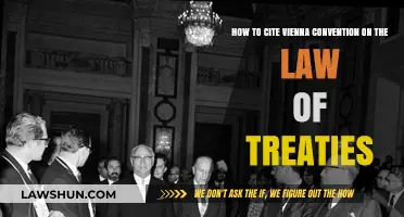Citing the Vienna Convention on the Law of Treaties: A Comprehensive Guide