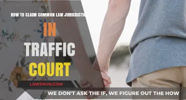 Asserting Common Law Rights in Traffic Court