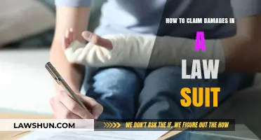 Claiming Damages in a Lawsuit: A Step-by-Step Legal Guide