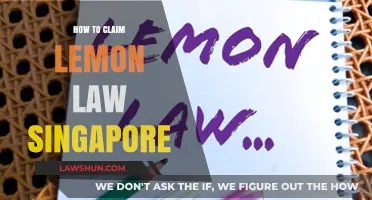 Singapore Lemon Law: Step-by-Step Guide to Claiming Your Rights