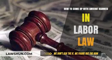 Calculating Damages in Labor Law: A Guide to Determining Harmed Amounts
