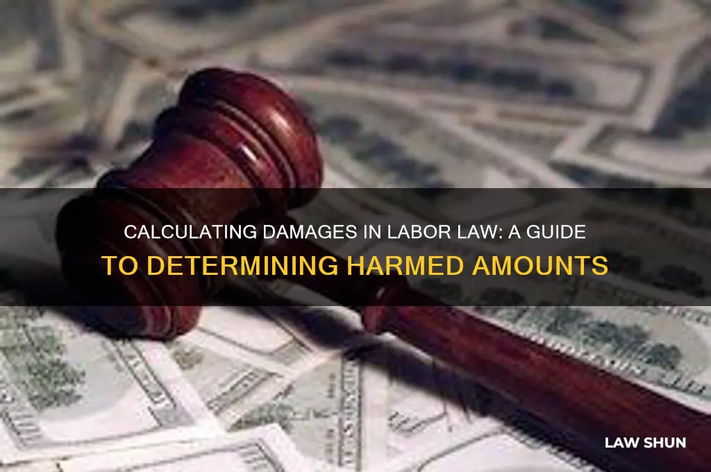 how to come up with amount harmed in labor law